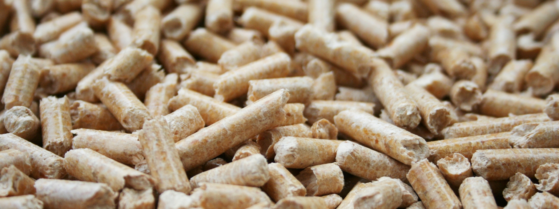 Bei der Herstellung von best wood PELLETS - eine Wertschöpfungskette die vom Rundholz im Wald bis zum Ende des Lebenszyklus in allen möglichen Facetten genutzt wird